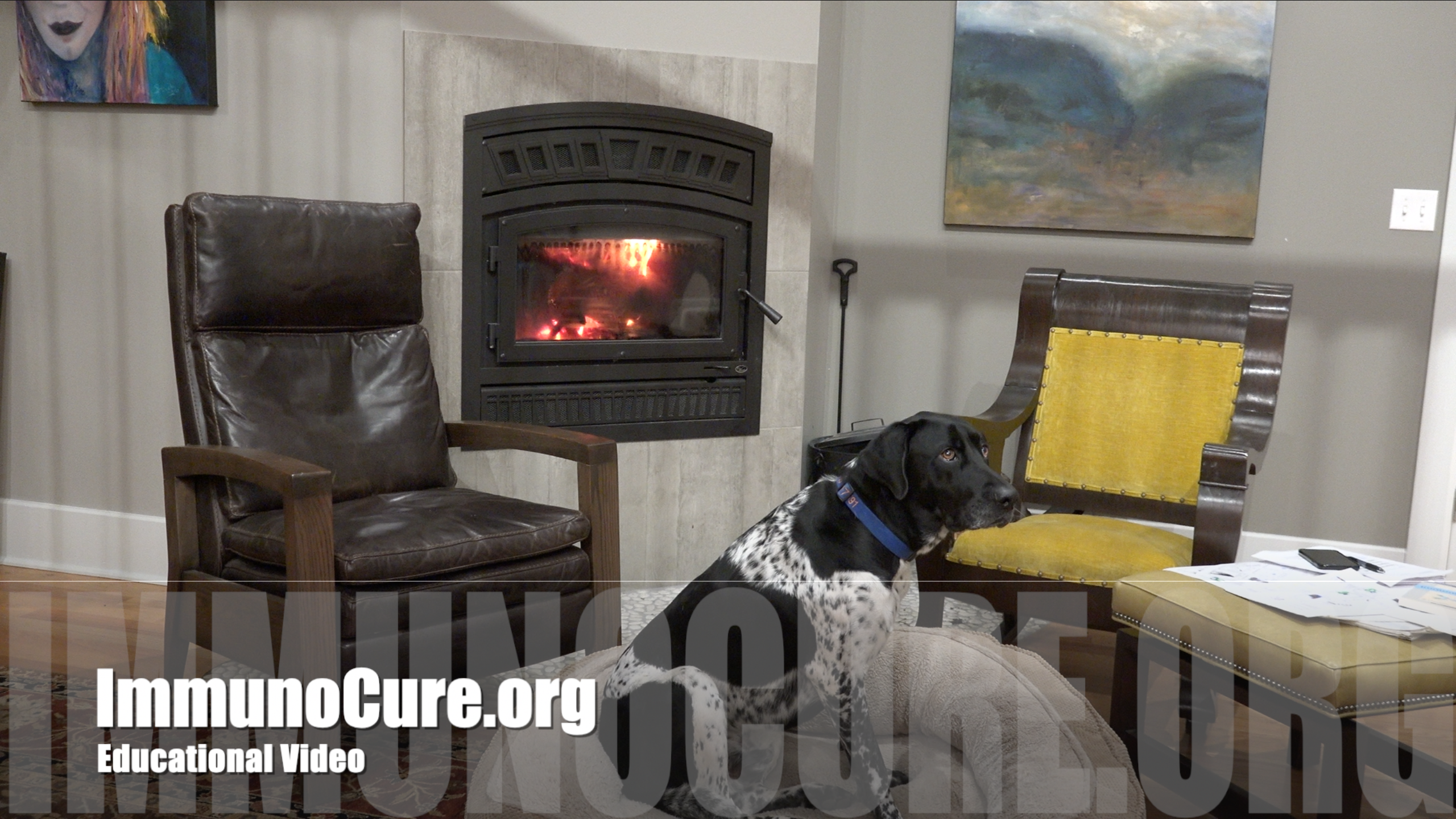 High False Negatives- a Fireside Chat